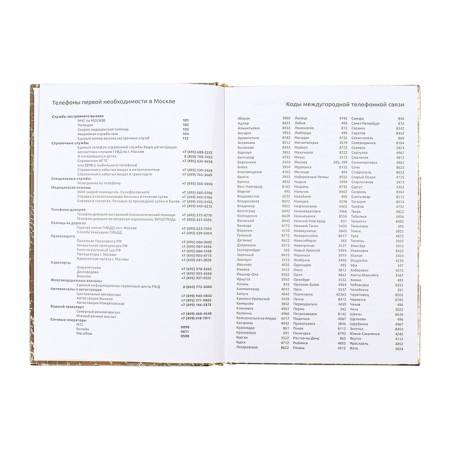 The diary is inatized, Ovan, A5, 136 sheets, Attomex. Arkona, solid cover, boumvinyl with foam, liesse, block 70%, gold-7