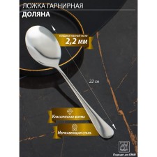 A garnet spoon made of stainless steel of a share, h = 22 cm, thickness 2.2 mm, 410 steel