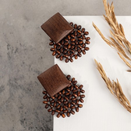Vakanda earrings Square, brown color-1
