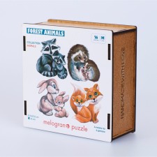 Figure puzzle 
