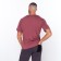 Male shorts, gray color, size 48