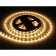 Ambrella GS1001, 5 m, IP20, 2835, 60 LED/m, 4.8 W/m, 12V, glow warm white