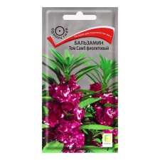 Balzamin Flowers 