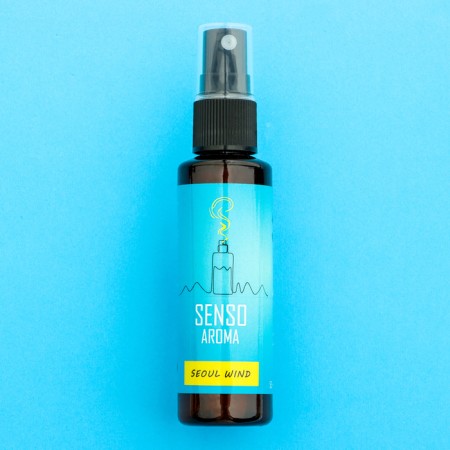 Perfectly Automobile Concentrated Spray Senso Seoul Wind, 50 ml