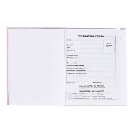 School diary for grades 1-11, "peach-beige", covered paper cover, hard binding cardboard 7BC, matte lamination, universal cheat sheet, 48 sheets, block 65g/m2-3