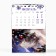 Calendar-Organizer 2025 House "All Dreams come true", 8.5 x 12 cm