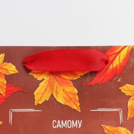 Package Gift Laminated Vertical, Packaging, “Class Teacher”, MS 18 x 23 x 10 cm-3