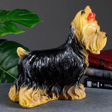 Piggy bank "Yorkshire Terrier" Standing, 16x32x28cm-5