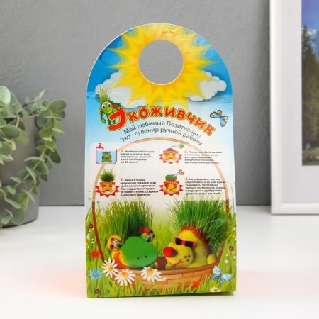 Growing gift Eco -Zezhivchik "Orange"-5