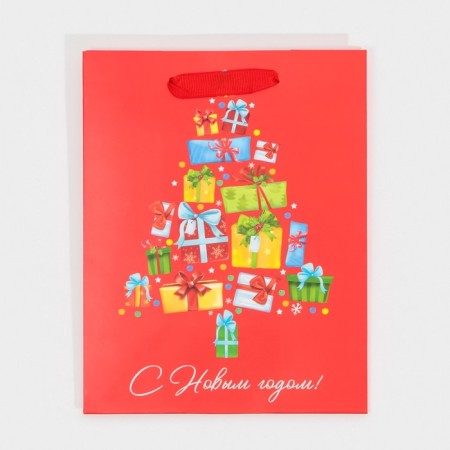 Laminated vertical “Gift” package, MS 18 x 23 x 10 cm, New Year-5