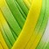 Knitted yarn 95% cotton, 5% Elastan "Lentino Melange" 100 g 30 m color 1 color