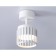 Switch of the turning switch with a replaceable lamp Ambrella Light, Techno Family, TN71157, GX53, white color
