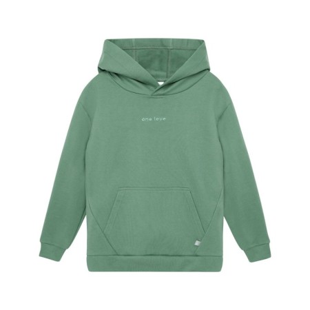 Hudy for the boy One Love Light, height 116 cm, green color-1