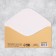 The envelope for the money "Golden Balt", 16.5 × 8 cm