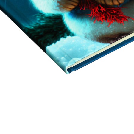 Diary for grades 1-4, solid cover "Bunny", matte lamination, selective varnish, block 60 g/m2-2