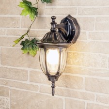 Elektrostandard Light Garden-Park, 60 W, E27, IP44, wall, 1002D black gold