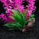 The artificial aquarium plant on the platform in the form of a snag, 30 cm, pink