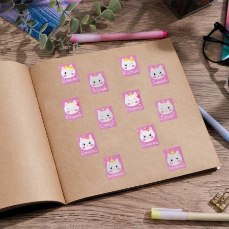 Paper stickers of the evaluation "cats", 10.5 × 18 cm-2
