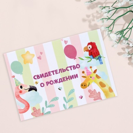 The folder for the birth certificate "Funny animals" Giraffe, A5
