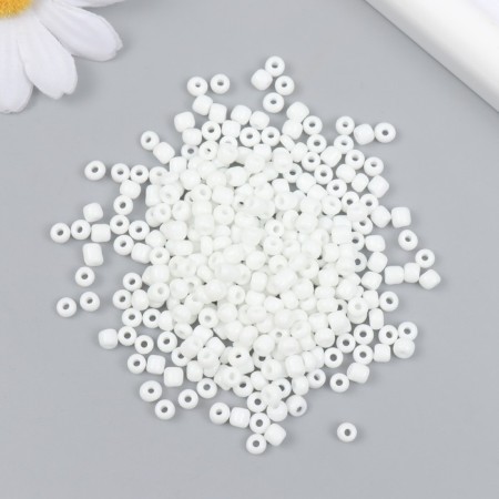 Glass beads 6/0 "snow -white" 450 gr-1