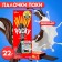 Pocky biscuit sticks in chocolate, 22 g