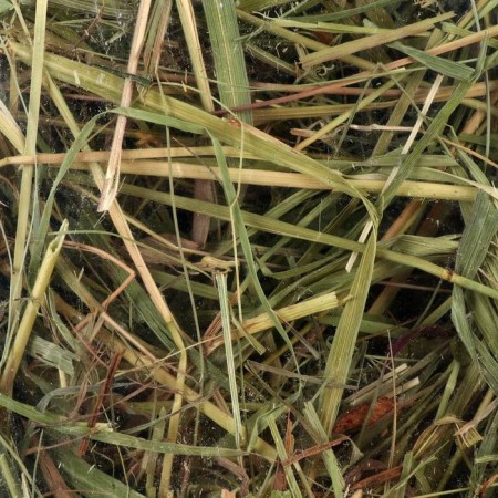 Hay with vegetables "Pigzon" for rodents, 20 l, 500 g-2