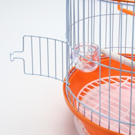 Birds Cell-Kound equipped BD-4/2, 23.5 x 33 cm, orange-4