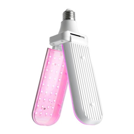 Feron, E27, 20 W, 175-265 V, Pink Light Lamp