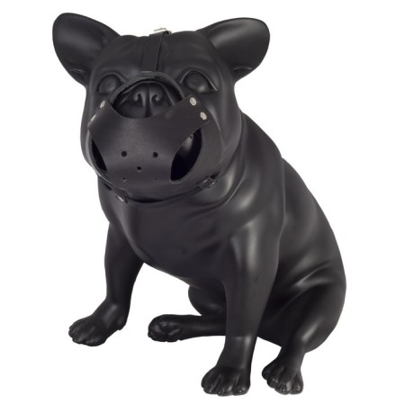 The muzzle is an integral scene for small breeds of dogs (French bulldog)-1