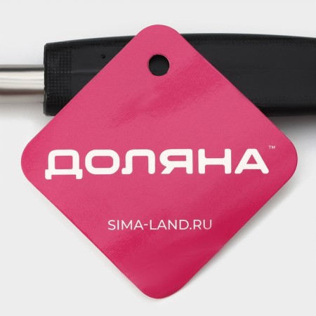 Shumovka Dolyana "Night", 31 cm-4