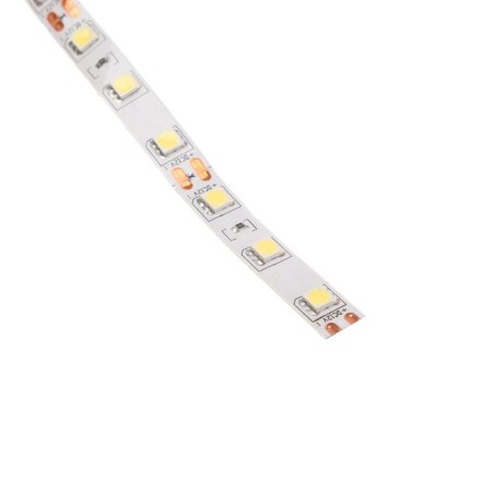 Ecola Pro 5 m, IP20, SMD5050, 60 LED/m, 14.4 W/m, 12 V, 6000K-2