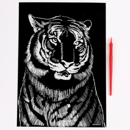 Engraving. Set of engravings "Family of cats", A4, 4 pcs-7
