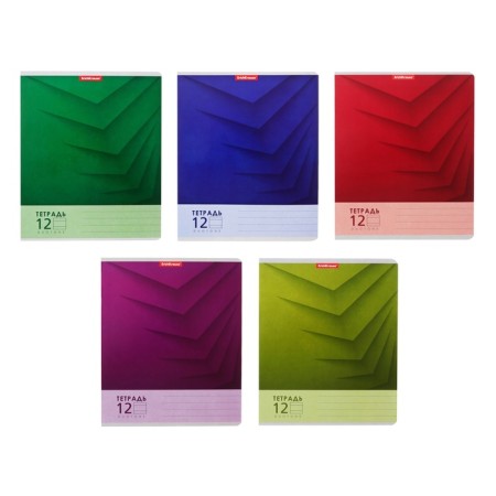 Notebook of 12 sheets in the Erichkrause "Duotone Next", the cover coated cardboard, an offset block 100% whiteness, mix