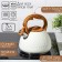 A kettle with a stainless steel whistle Magistro Heat, 3 L, TRS, Induction, Soft-Touch pen, white color