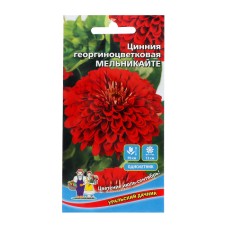 Blood flowers of zinnia dahlia 
