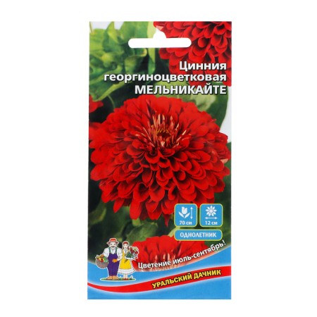 Blood flowers of zinnia dahlia "Melnikayat", 0, 2 g,