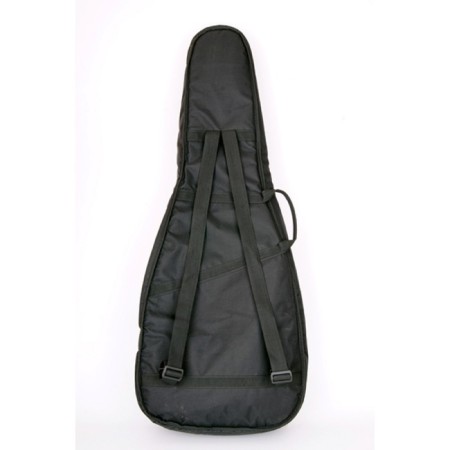 Lutner LDG-3 acoustic guitar cover-1