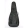 Lutner LDG-3 acoustic guitar cover