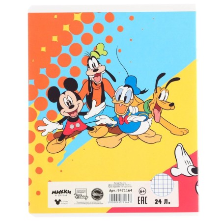 Notebook in a cage 24 sheets, 5 types of mix, cover coated paper, Minnie Mouse-10