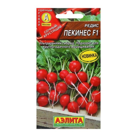 Seeds Radis "Beijes" f1, c/n, 1 g