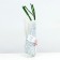Air-kadabra rose seedling, spring 2024, 1 pc.