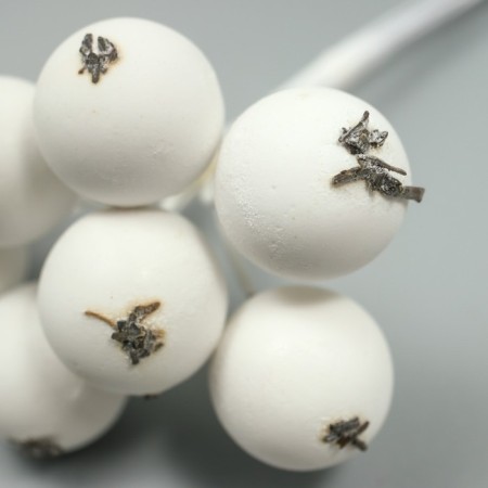 Decor for creativity "Berry Rowan" 1 bouquet = 10 white berries 10x1.5 cm-3