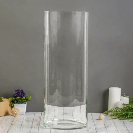 VAZ "Giant", 28 l, 60 × 25 cm, glass, transparent
