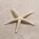 Sea star decorative, 10-16 cm