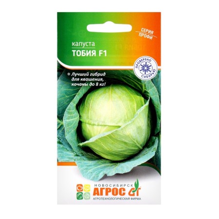 Cabbage Cabbage seeds "Tobia" F1 15pcs* Seminis