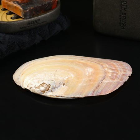 Steam stand "Shell" 15cm-1