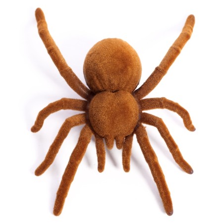 Tarantula bug, works from batteries-3