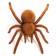 Tarantula bug, works from batteries
