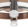 Lamp "Lux" 2xled 90W gold 66x50x19 cm Bayerlux