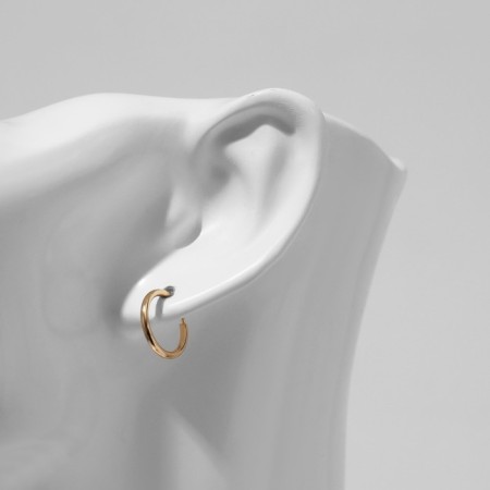Piercing in the ear "Ring" disk, d = 11 mm, pair, color gold-2